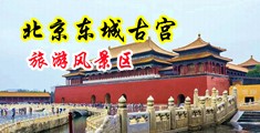 好大插入啊啊好多水视频中国北京-东城古宫旅游风景区